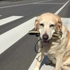 clipThumbnail