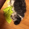 clipThumbnail