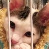 clipThumbnail