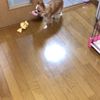 clipThumbnail