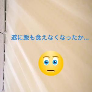 朝ごはん食べたいけどの画像