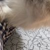 clipThumbnail