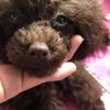 clipThumbnail