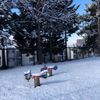 clipThumbnail