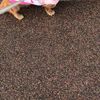 clipThumbnail