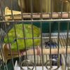 clipThumbnail