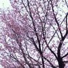 clipThumbnail