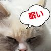 clipThumbnail