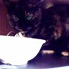 clipThumbnail