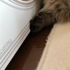 clipThumbnail