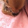 clipThumbnail