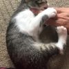 clipThumbnail