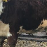 2019/2/4のサムネイル画像