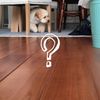 clipThumbnail