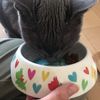 clipThumbnail