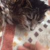 clipThumbnail
