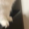 clipThumbnail