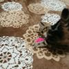 clipThumbnail
