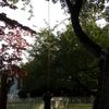 clipThumbnail