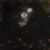 clipThumbnail