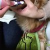 clipThumbnail