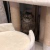clipThumbnail