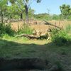 clipThumbnail