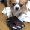 clipThumbnail