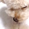 clipThumbnail