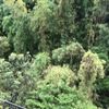 clipThumbnail