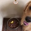 clipThumbnail