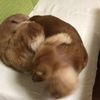 clipThumbnail