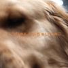 clipThumbnail