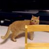 clipThumbnail