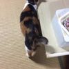 clipThumbnail