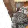 clipThumbnail