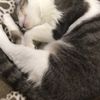 clipThumbnail
