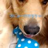 clipThumbnail