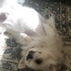 clipThumbnail