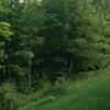 clipThumbnail