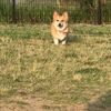 clipThumbnail