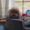 clipThumbnail