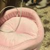 clipThumbnail