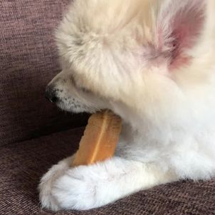 2018/07/16の画像
