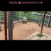 clipThumbnail