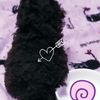 clipThumbnail