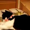 clipThumbnail