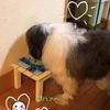 clipThumbnail