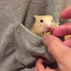 clipThumbnail
