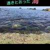 clipThumbnail